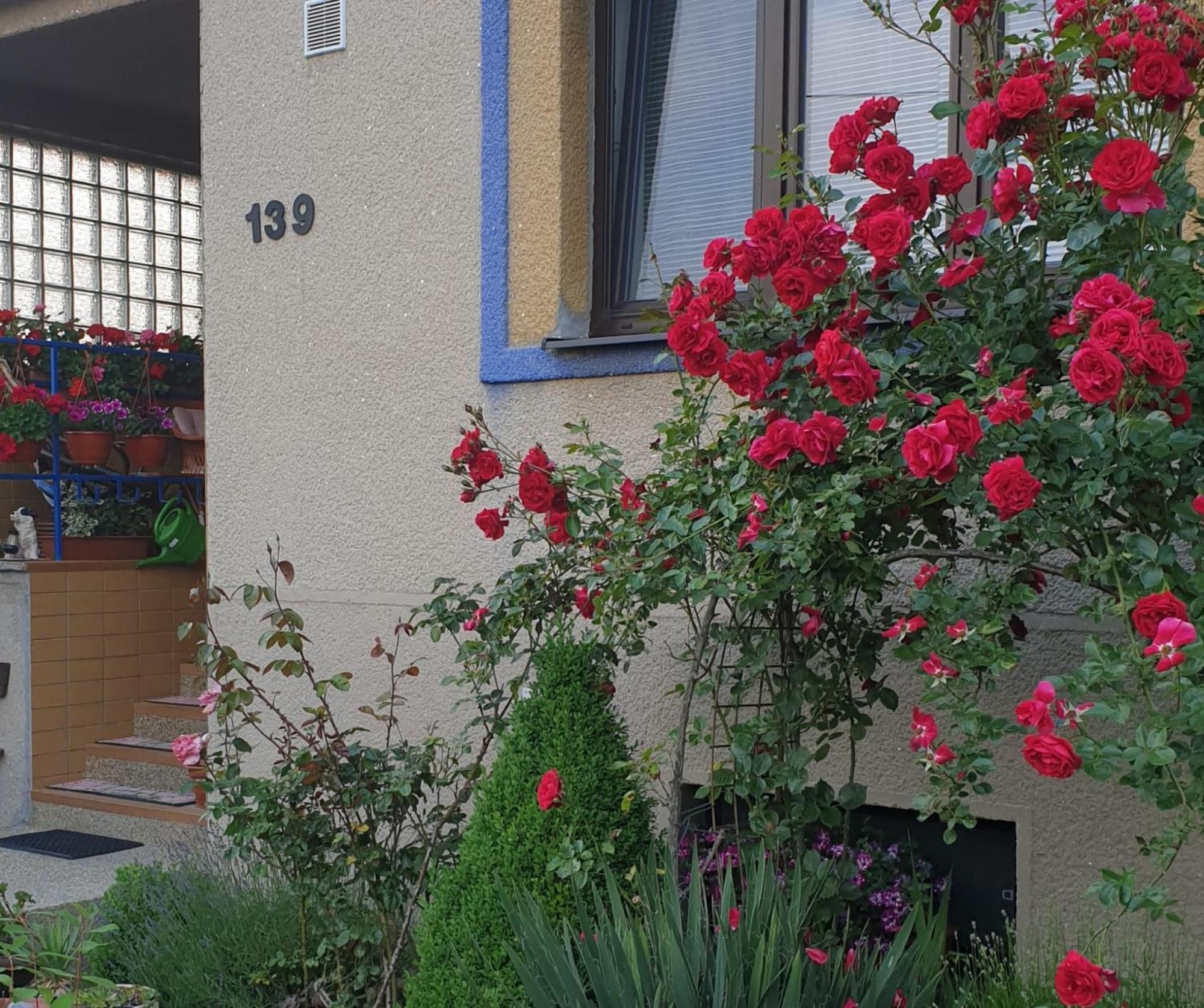 Homestay Imagina